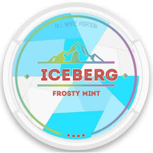 Load image into Gallery viewer, Iceberg Frosty Mint
